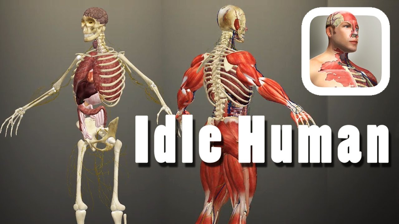 Idle Human Mod Apk 